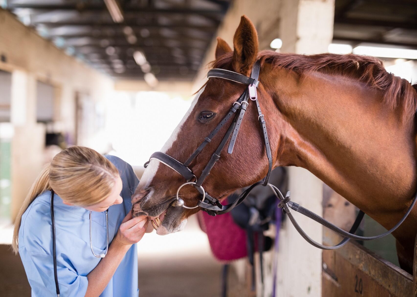 100 highest-paying jobs in America